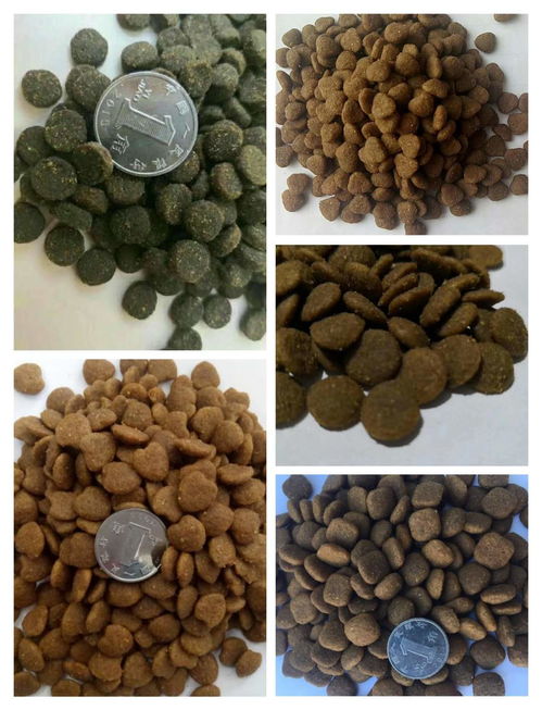 山东宠物用品产业大数据解析与采购指南 聚焦异合日用百货网